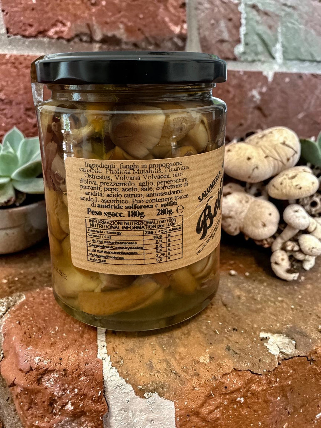 Trio of Mushrooms in Olive Oil